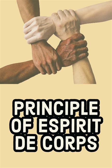 principle of esprit de corps